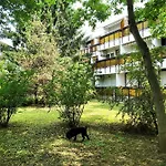 Silver Pelso * Balatonfured