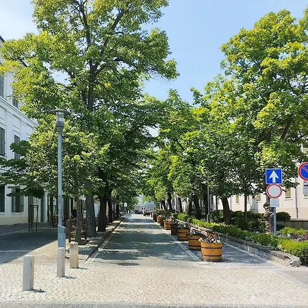 Silver Pelso * Balatonfüred