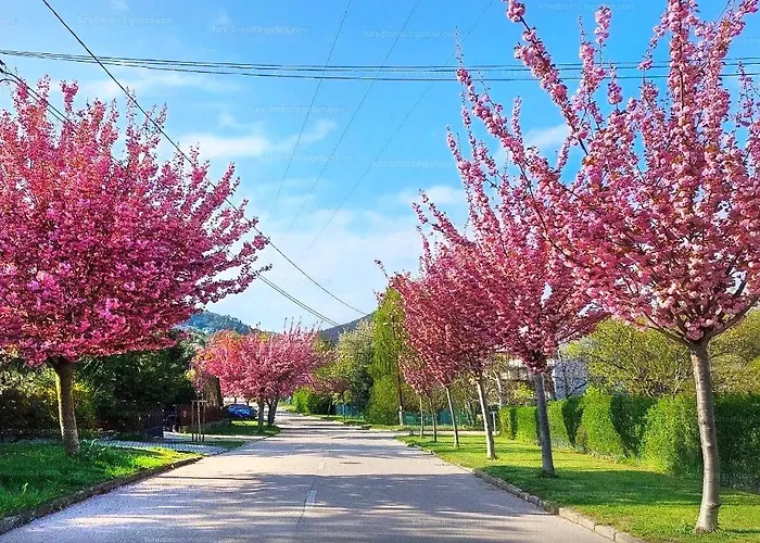 Apartment Silver Pelso