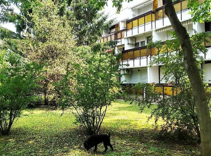 Silver Pelso * Balatonfured