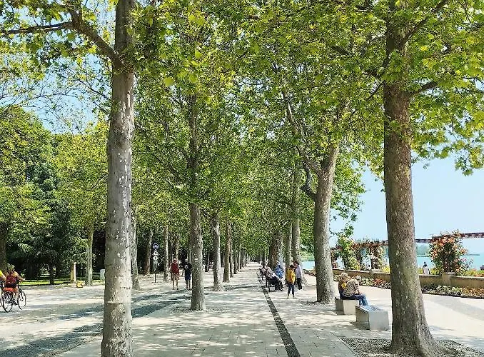 Silver Pelso Balatonfüred